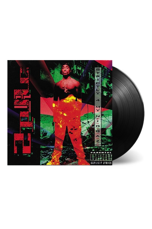 2Pac ~ Strictly For My N.I.G.G.A.Z. LP Vinyl Record